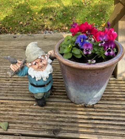 Gnome stood next to plant pot in RagTag garden